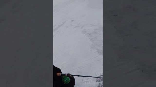 Зимняя рыбалка на Дону #здоровье #зож #отдых #рекомендации #лед #рыбалка #россия смотреть онлайн