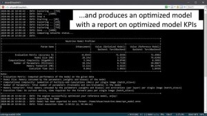 2020 Demo: Deeplite DNN Model Optimization Engine