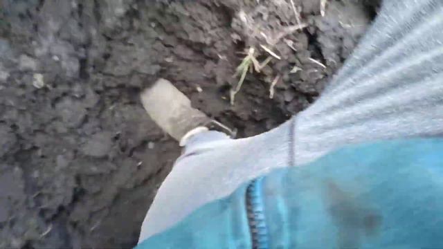 Засадили к 700 смотреть онлайн