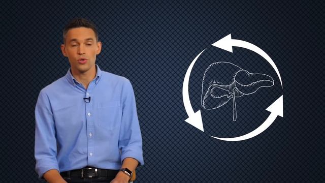 Мои 5 принципов здорового питания смотреть онлайн