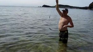 бухта Прибойная п. Авангард, г. Находка, 25,08,2015 рыбалка на удочку))) на хлеб