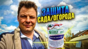 схема защиты моего сада и огорода - аминосил, фитоспорин, метаризин, хорус и актеллик