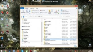 Ничего не видно под водой  в Skyrim?