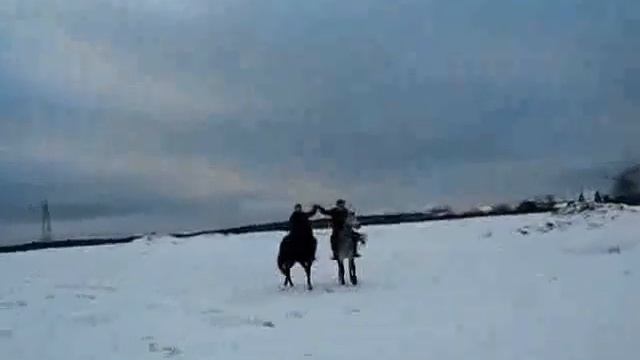 ПАХРА -Гривастые Друзья смотреть онлайн