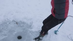 5 САМОДЕЛОК для ЗИМНЕЙ РЫБАЛКИ из СССР