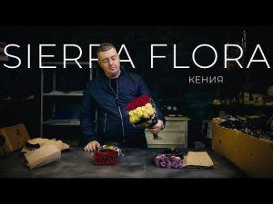 Роза MIX 40см. | Плантация Sierra Flora, Кения