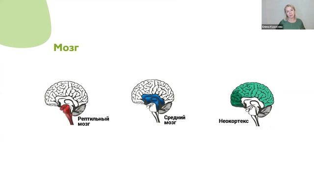 Вебинар ЭИ в оценке и ОС. 24.08.2021 смотреть онлайн