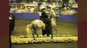 TANGO DE LA PERLA CAMPEON MUNDIAL CALI  1997