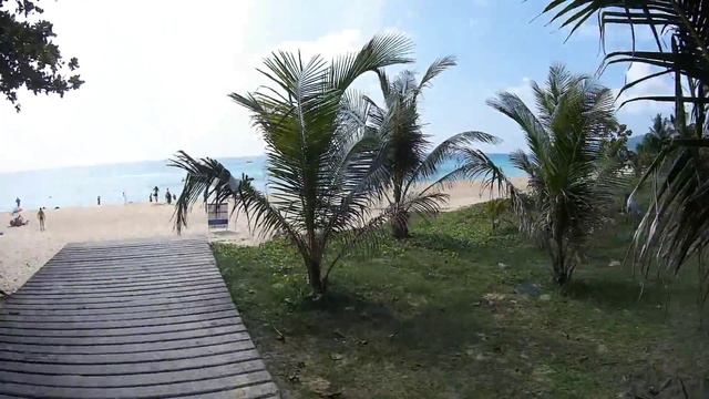 Romanov`s VLOG - Таиланд часть 2 ( вся правда о пляже Карон ) смотреть онлайн