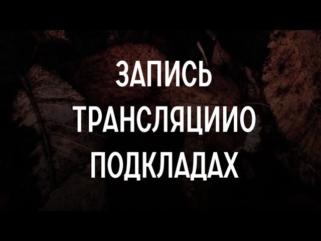 Запись трансляции о подкладах