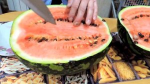 Как сохранить арбуз до Нового года 5 часть.