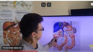 Доктор Шишова О И  Жировой гепатоз