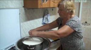 Секрет приготовления сыра из козьего молока