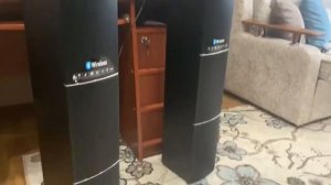 Домашняя аудиосистема Ginzzu GM-321