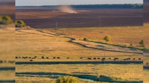 Дочь степей Сююмбике(Гульмира Аджатаева) ооочень красивая ногайская песня 😍😍