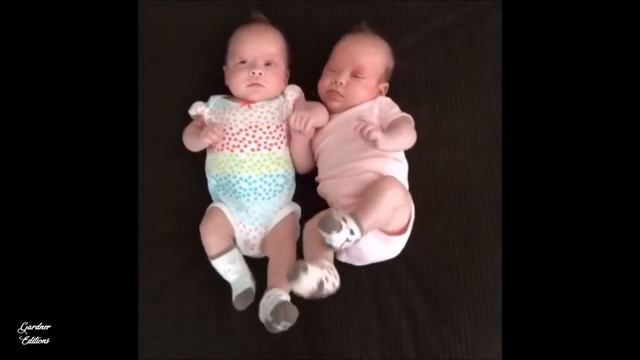 Gardner Girls Editions ( Meet the Girls) - Gardner Editions смотреть онлайн