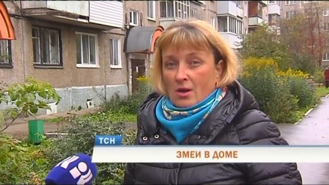 В Перми в подвале дома поселилась метровая змея смотреть онлайн