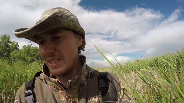 Гнездовой биотоп Камышовки-барсучка и других ценителей рогоза. Часть 1 смотреть онлайн