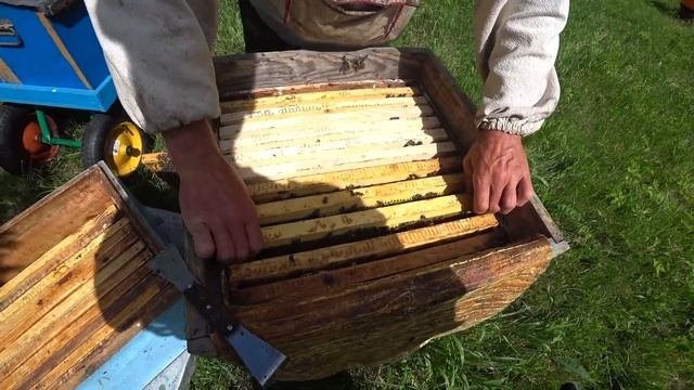 Расширение семей. Ставим вторые корпуса.Ставим решётки!