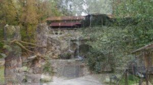 Пенза "Русская охота"