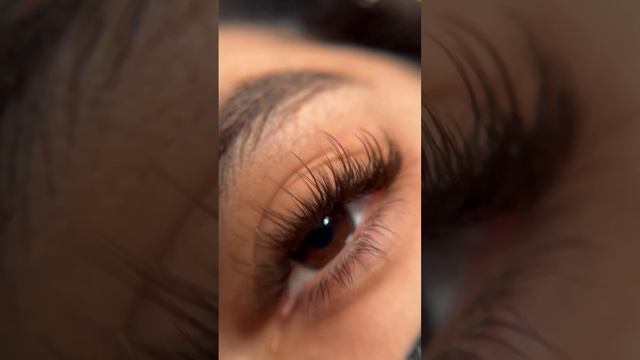 Brown Wispy Lashes