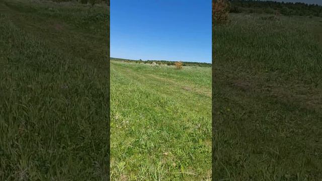 Гуляю по лесу. пришёл к берегу Ангары смотреть онлайн