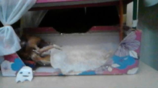 Конкурс тема сны смотреть онлайн