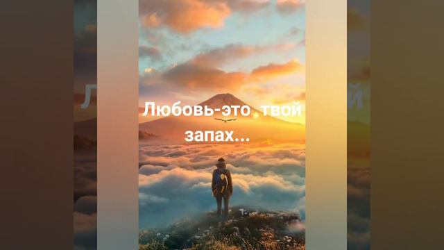 #деньсвятоговалентина Признание в любви. 14 Февраля. День всех влюбленных.