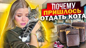 ПОЧЕМУ ПРИШЛОСЬ ОТДАТЬ КОТА ! САМОЕ СЛОЖНОЕ РЕШЕНИЕ !