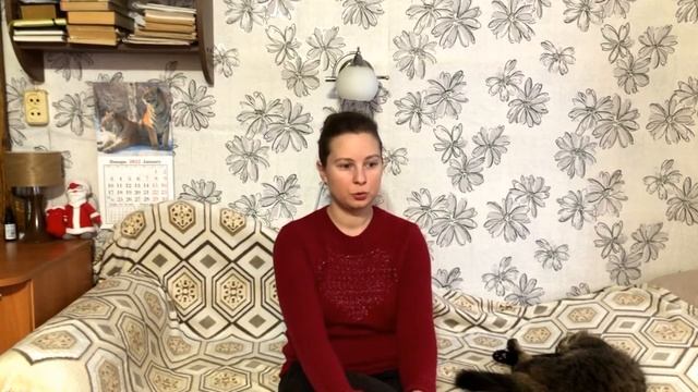 СТОИМОСТЬ УЧАСТКА В ДЕРЕВНЕ