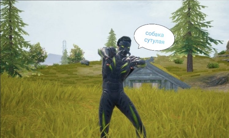 Собака та еще? #pubgmobile #пубгмобайл #пубг #рек #pubg #пабг #угар #severynin #shorts