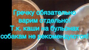 Чем я кормлю своих собачек. Натуралка. Меню #1