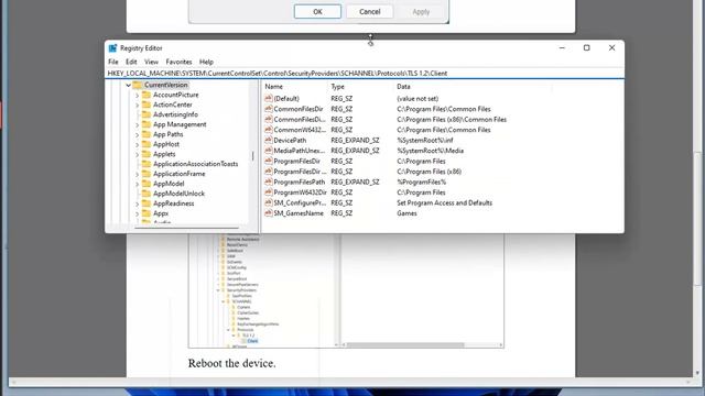 Fix A Fatal Error Occurred While Creating A TLS Client Credential 10013 on Windows смотреть онлайн