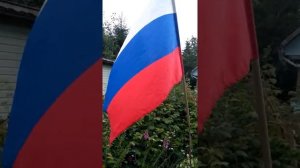 флаг России развивается на ветру .  ( видео неактуально)