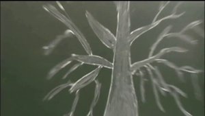 Представление учителя ГБОУ СОШ № 2057 на конкурс педагог года  2015 Светлана Евгеньевна Каштуева