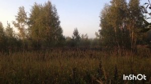 Лось на Гону#Встреча с Огромным Быком#Адреналиновый Передоз)))#из архива