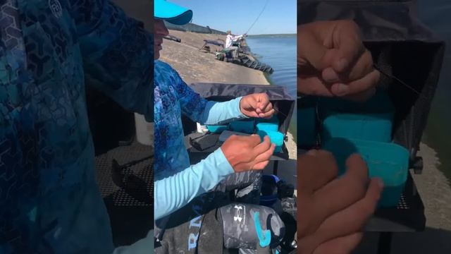 ОФИЦИАЛЬНАЯ ТРЕНИРОВКА. Чемпионат России по ловле донной удочкой 14-18 июля 2022 года. Липецк