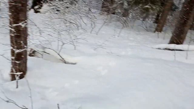 по ЖД в мороз смотреть онлайн