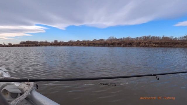 Красноперка Суйфун 2022