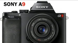 Sony Alpha a7R III Review – the Latest Camera 2017 with New High-end FF