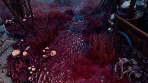 Все головоломки в Divinity: Original Sin 2