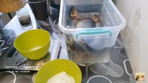 #Селедка как при СССР в жестяных банках, Готовим с Людмилой и не только.