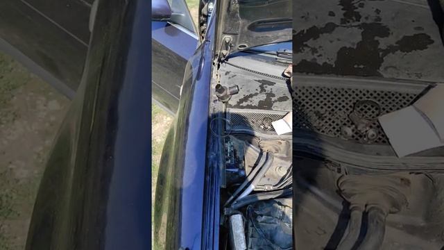 СИСТЕМА АДСОРБЕРА АУДИ смотреть онлайн