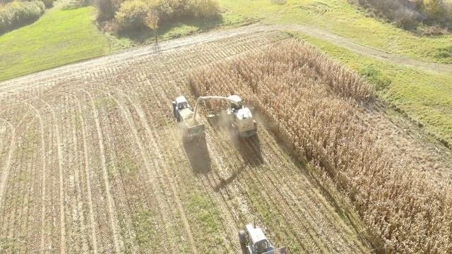 Работа кормоуборочного комбайна Krone Big X на полях СПК Маяк Заполье