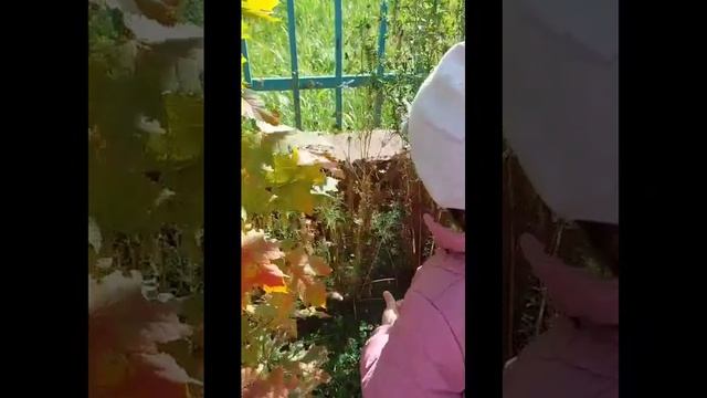 Дети и природа. гр.Улыбка смотреть онлайн