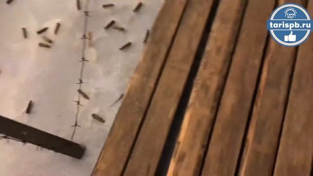 Форт «РИФ», Кронштадт смотреть онлайн