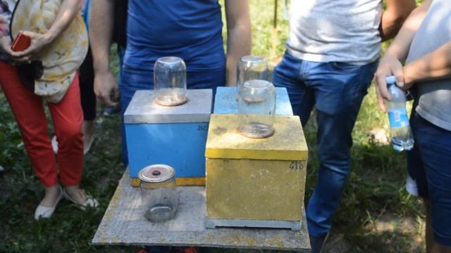 Экскурсия на матковыводной пасеке Л. Р. Егошина
