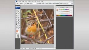 КЛОНИРОВАНИЕ - Photoshop (Фотошоп) за один день! - Урок 6