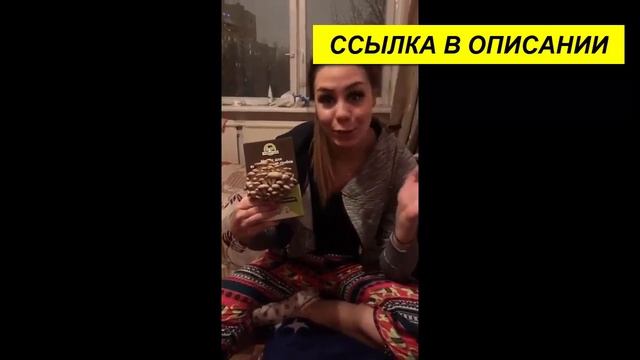 грибы круглый год