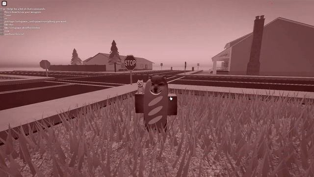 How To Save Your Weapons In Roblox Town